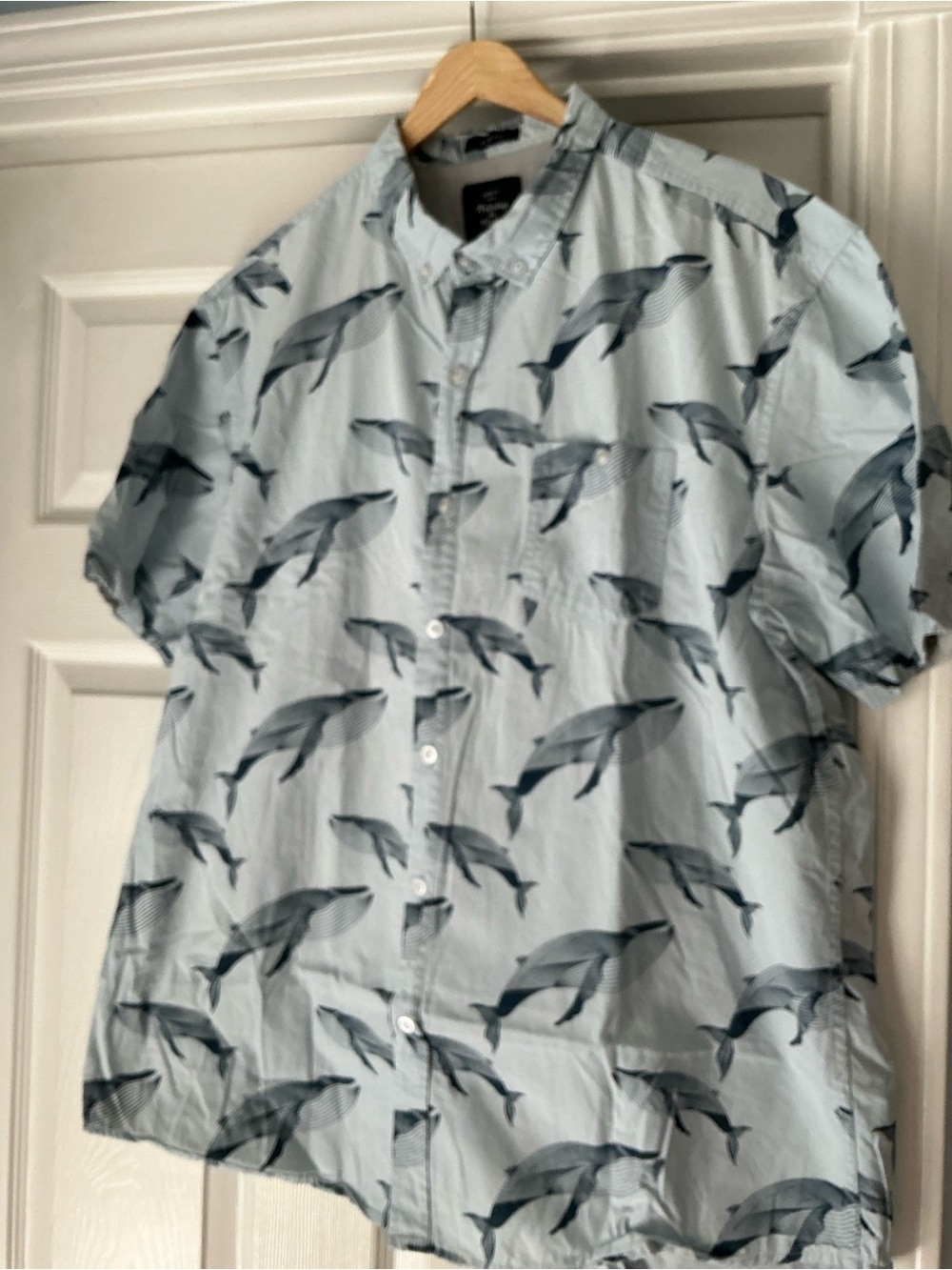 2 Men’s button down shirts